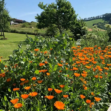 Mintbraun Waldkirchen