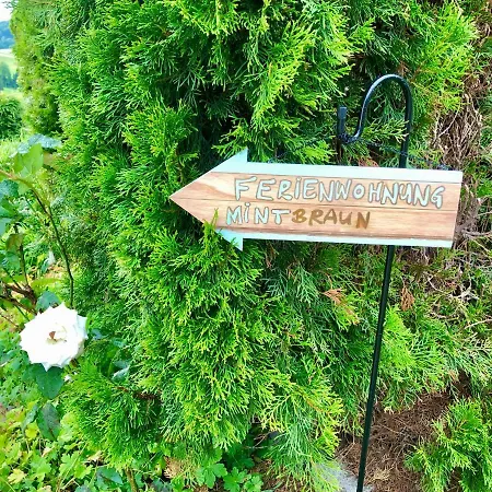 Mintbraun *