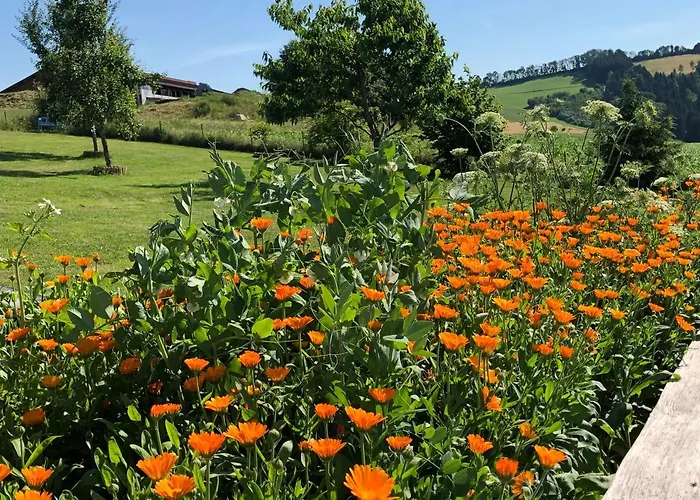 Mintbraun Waldkirchen